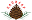 Store Favicon