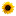 Store Favicon