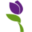 Store Favicon