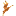 Store Favicon