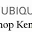 Store Favicon