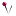 Store Favicon