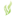 Store Favicon