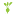 Store Favicon