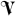 Store Favicon