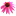 Store Favicon
