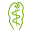 Store Favicon