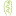 Store Favicon