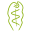 Store Favicon