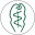 Store Favicon