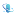 Store Favicon