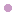 Store Favicon