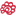 Store Favicon
