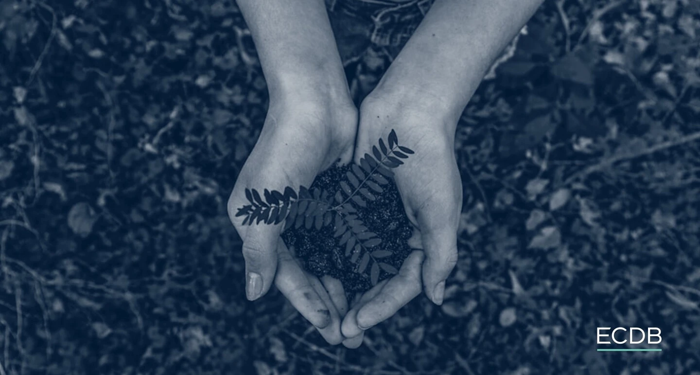 Plant in Hands