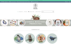 Store Screenshot