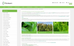 Store Screenshot