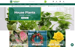 Store Screenshot