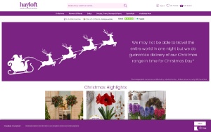 Store Screenshot