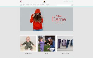 Store Screenshot