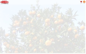 Store Screenshot
