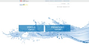 Store Screenshot