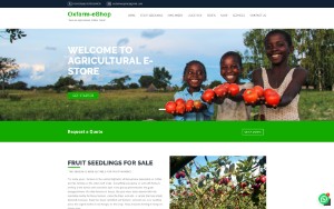 Store Screenshot
